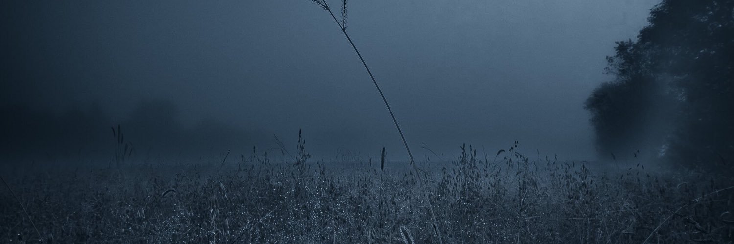 1_nooood's profile banner image