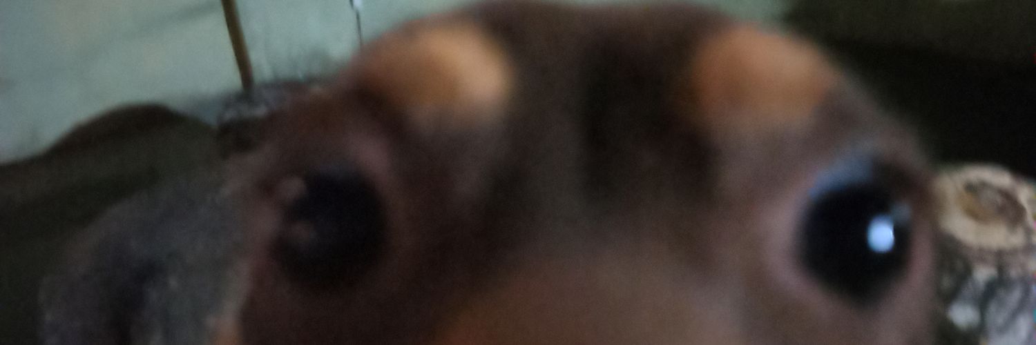 ITpeter23's profile banner image