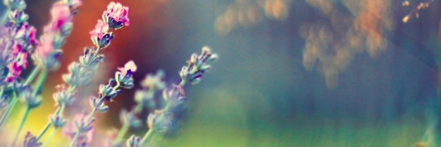 claumadeo's profile banner image