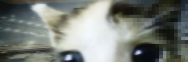 irmkoci Profile Banner