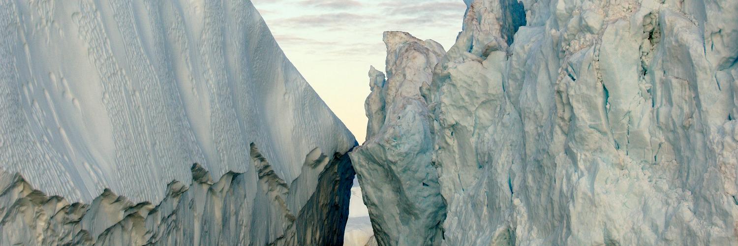 CUArtMuseum's profile banner image