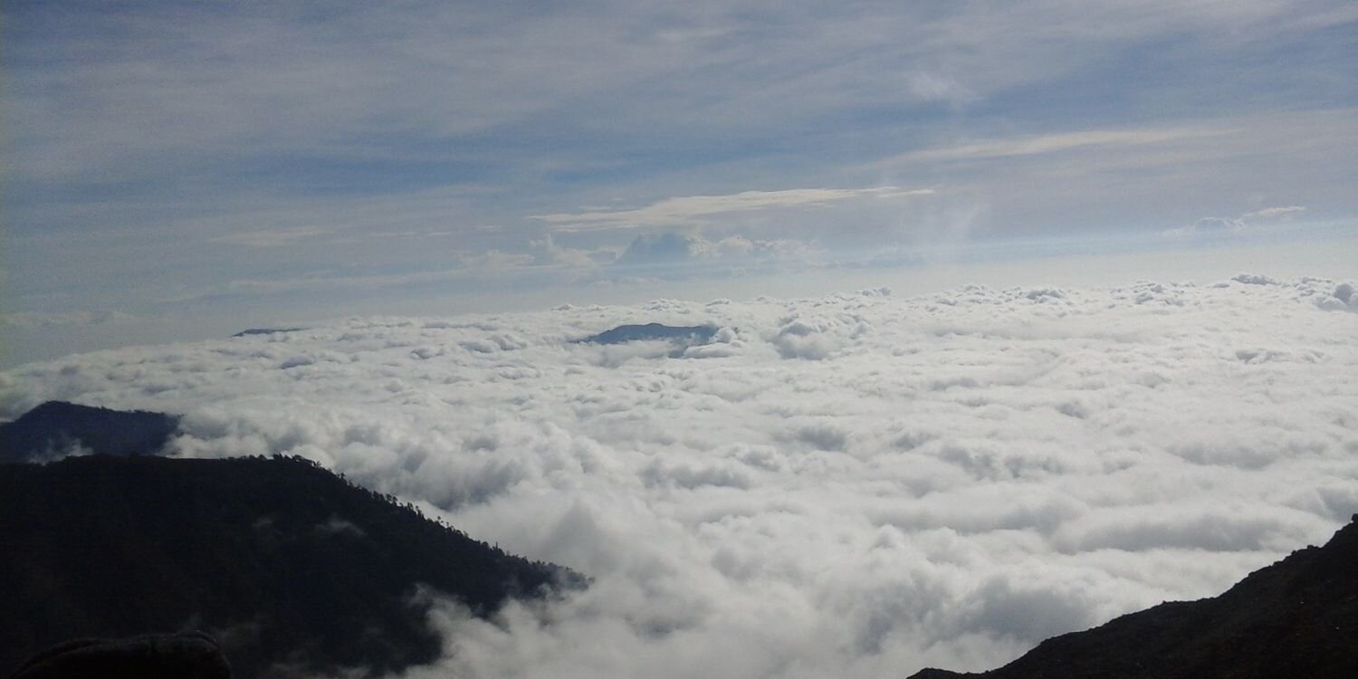 taqiyuddin_'s profile banner image