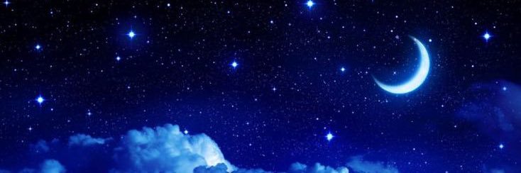 SofyR's profile banner image