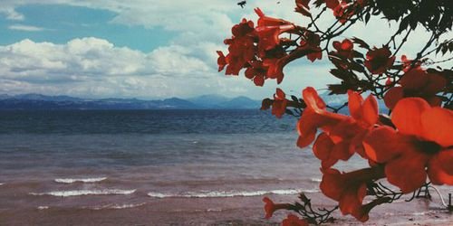 carm_co's profile banner image