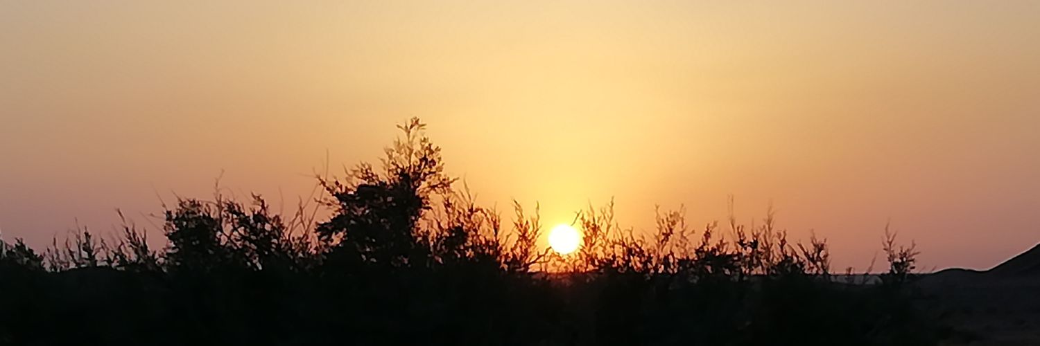 Hamidstar1368's profile banner image