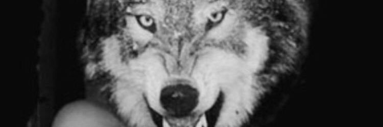 Cooc24673958's profile banner image