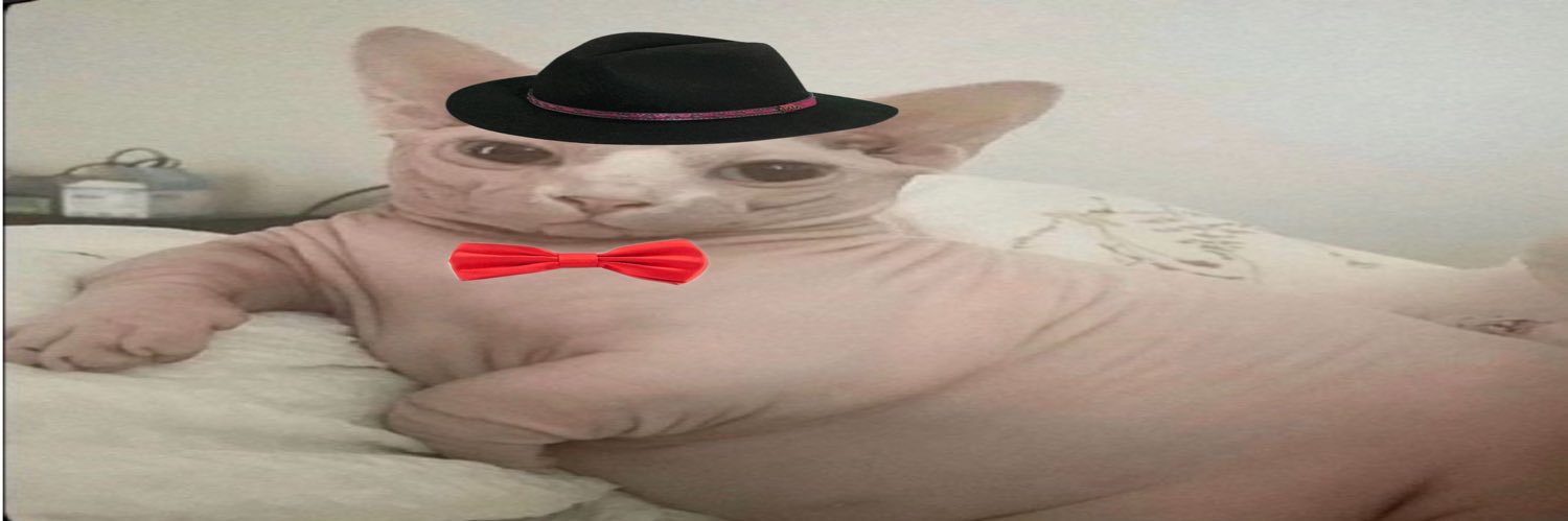 Banana ™ banner