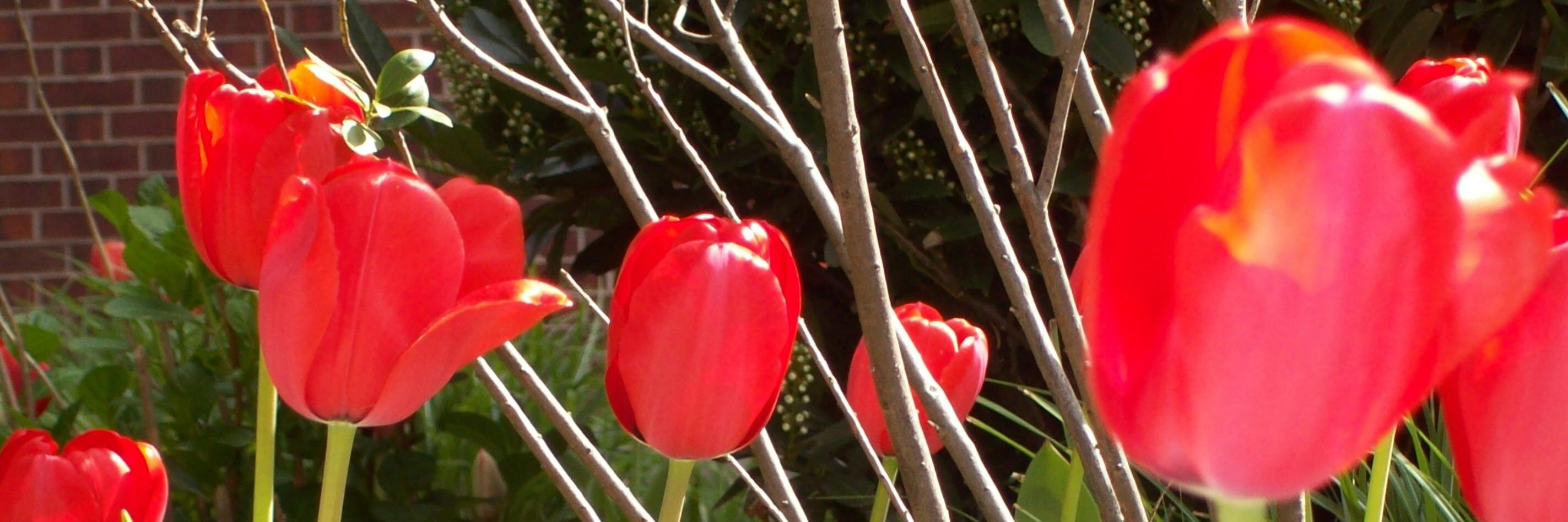CookBooksBikes's profile banner image