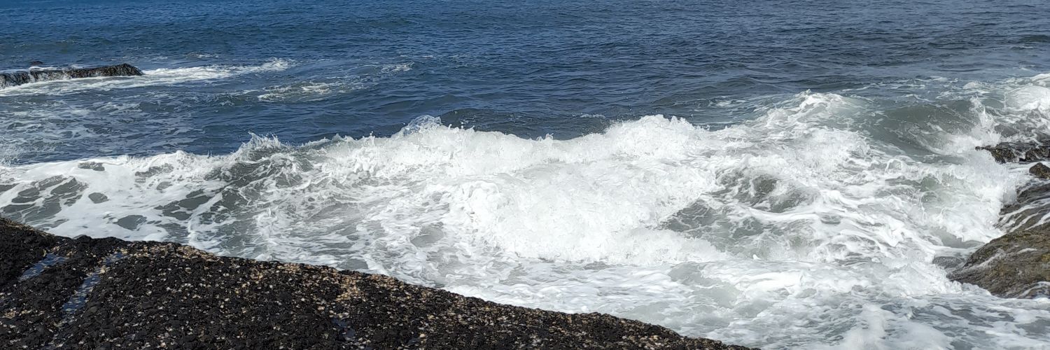 Selva S Wiradeayu banner