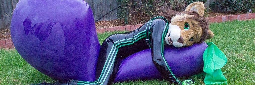 LionInRubber's profile banner image