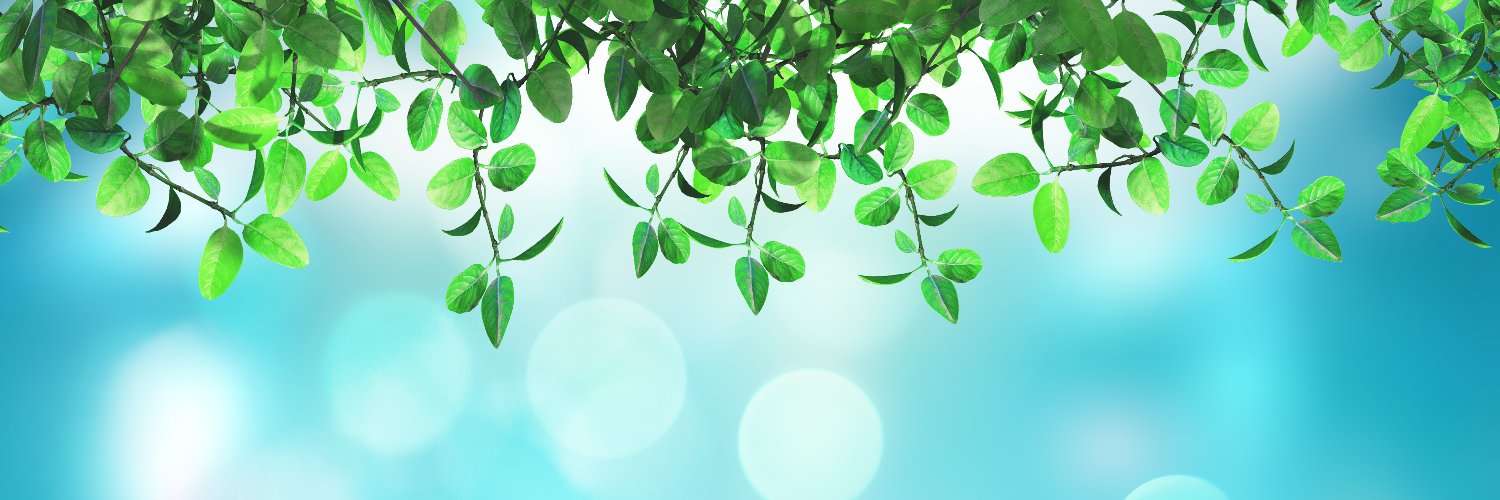 franknetworkk's profile banner image