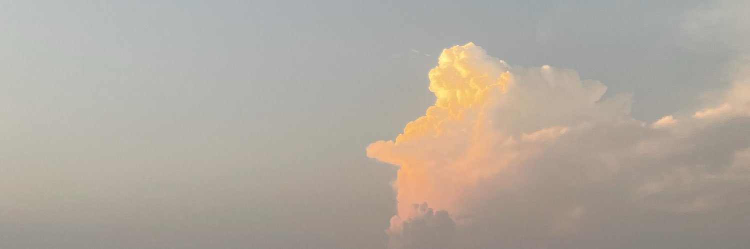P_namsima's profile banner image
