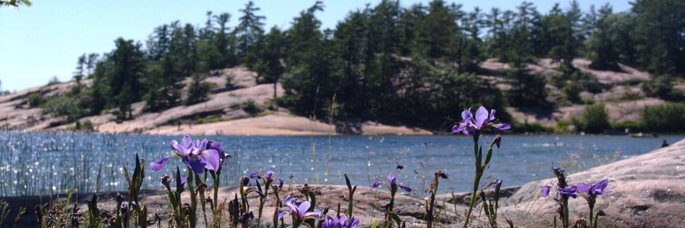 CulpKlassen's profile banner image