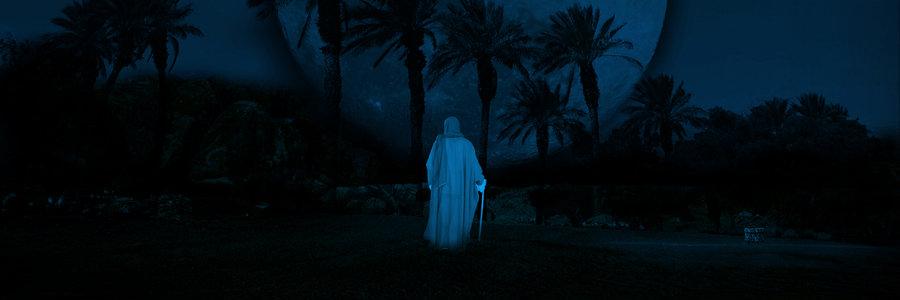 ZMohsinM's profile banner image