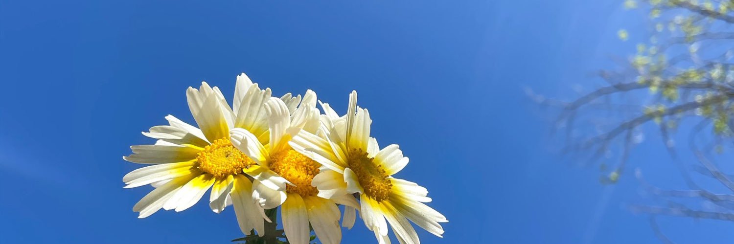 31Irenee's profile banner image