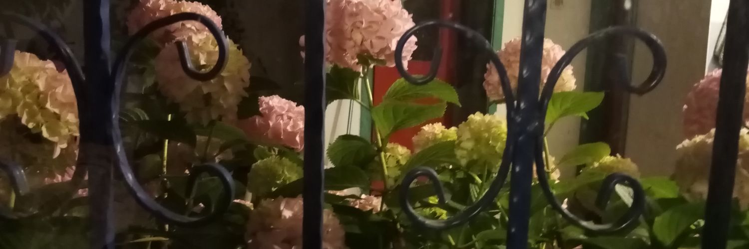 lirdaka's profile banner image
