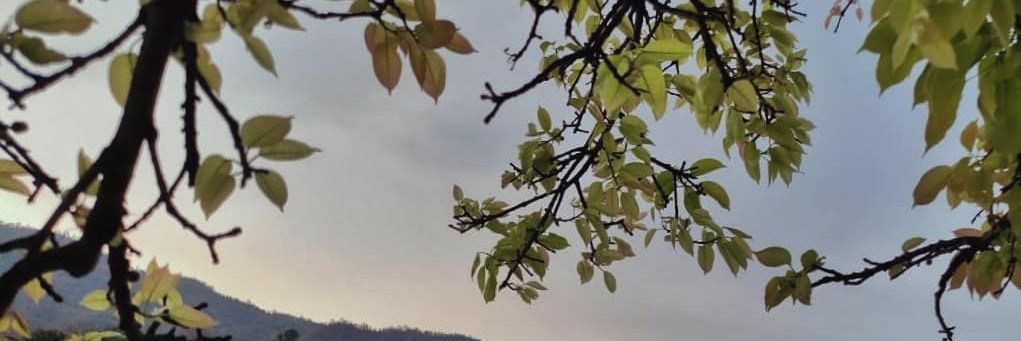 ankits261's profile banner image