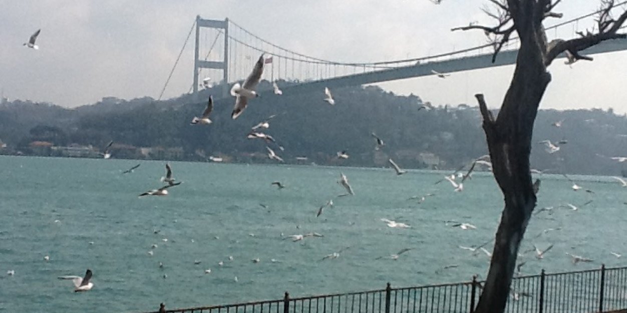 ozgebayatli's profile banner image