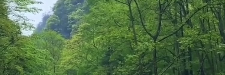 s3h4m's profile banner image