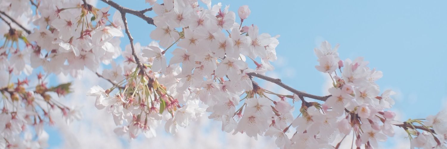 micimochi's profile banner image