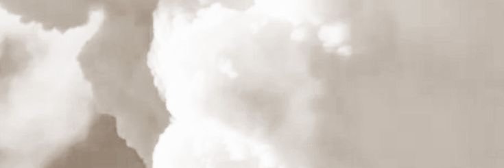 lalessa do harry banner