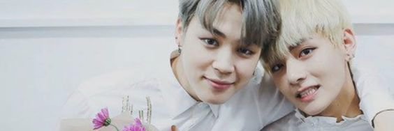 stellaluna minv🌙💫 banner