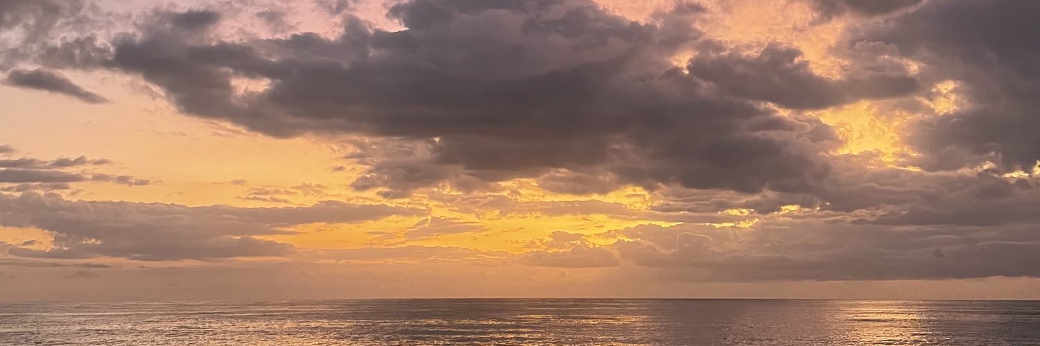 hannahml243's profile banner image