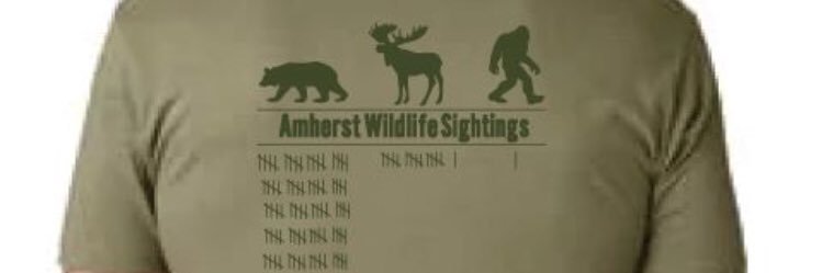 Amherst2day's profile banner image