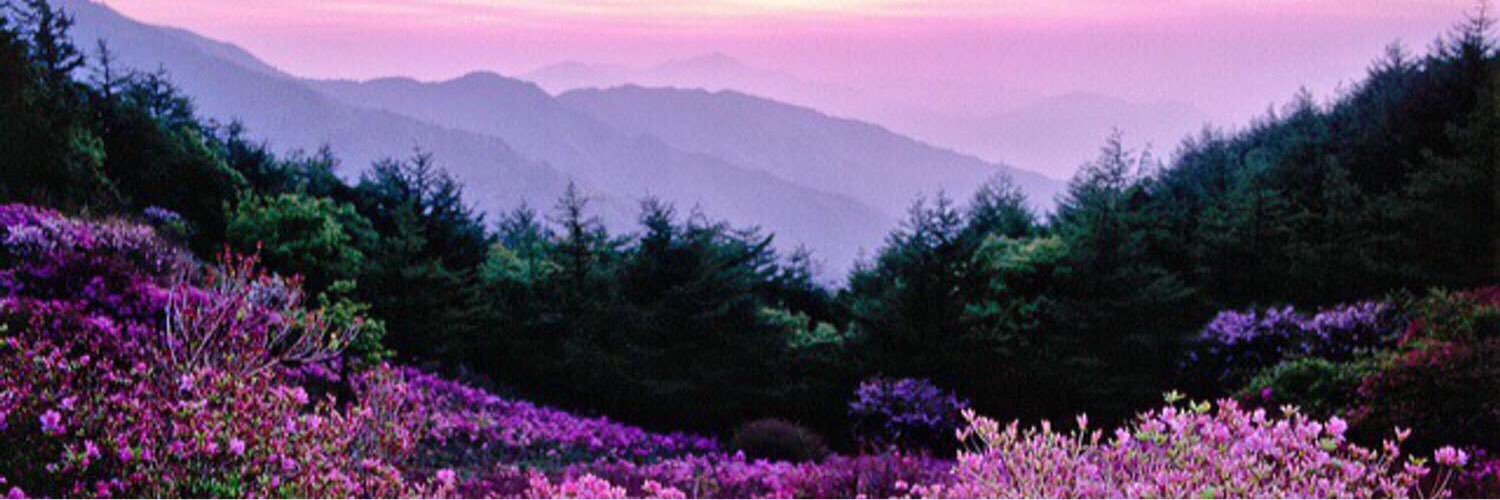 AnnieEdelman's profile banner image