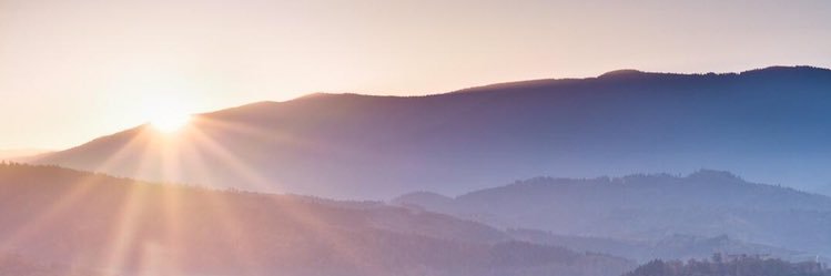 sean_mandebvu_'s profile banner image