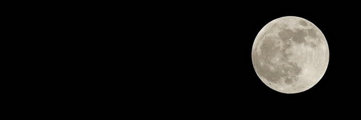 bogcoins's profile banner image