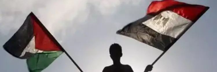 basemshehata2's profile banner image