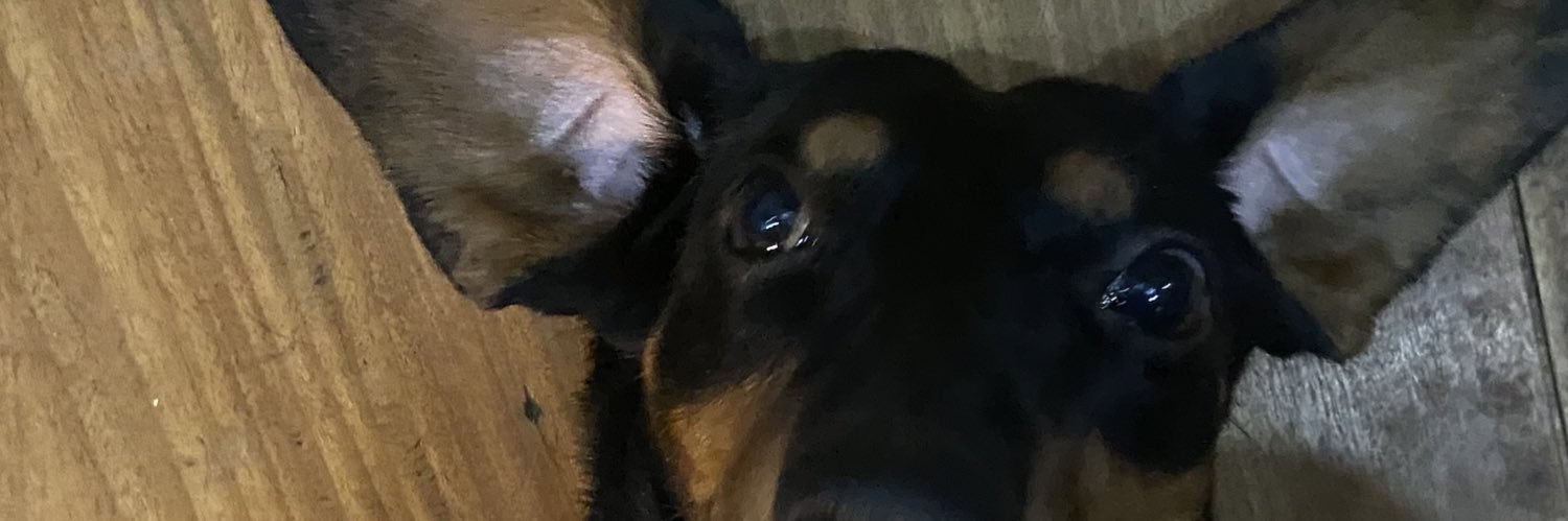 zeromnsl's profile banner image