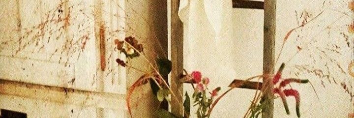 day banner
