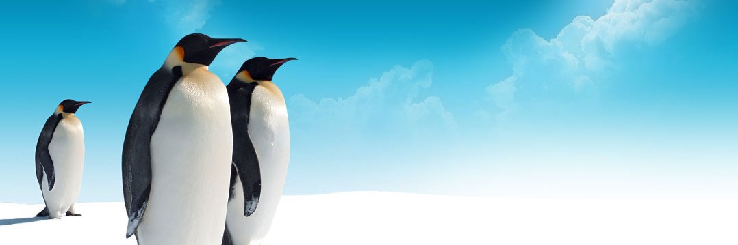 Iceberg Events banner