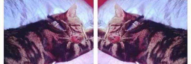 SabahRiaz2's profile banner image