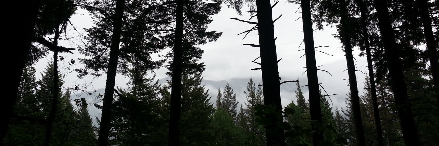 ttownsticks's profile banner image
