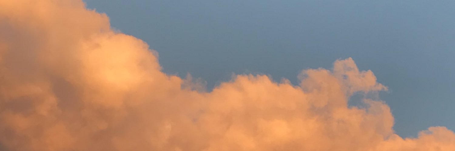 Elsa banner