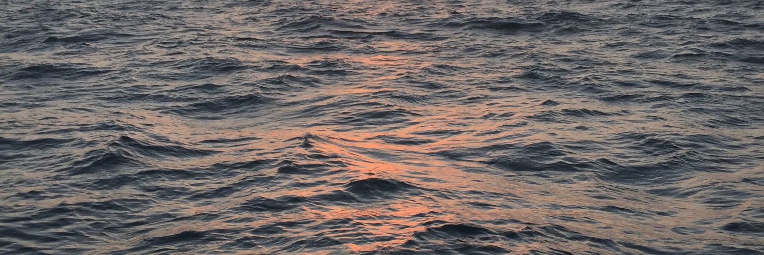 Emily Kasriel banner