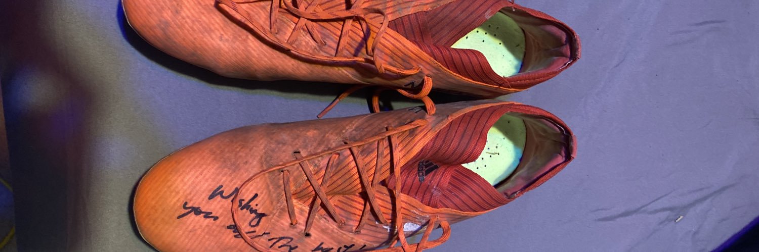 °Cobi° 🇺🇸🇷🇴⚽️| Croc Block Captain 🐊 banner