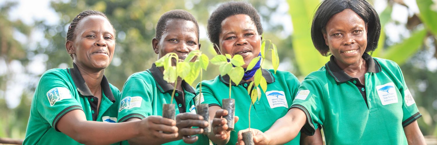 Mount Elgon Tree Growing Enterprise banner