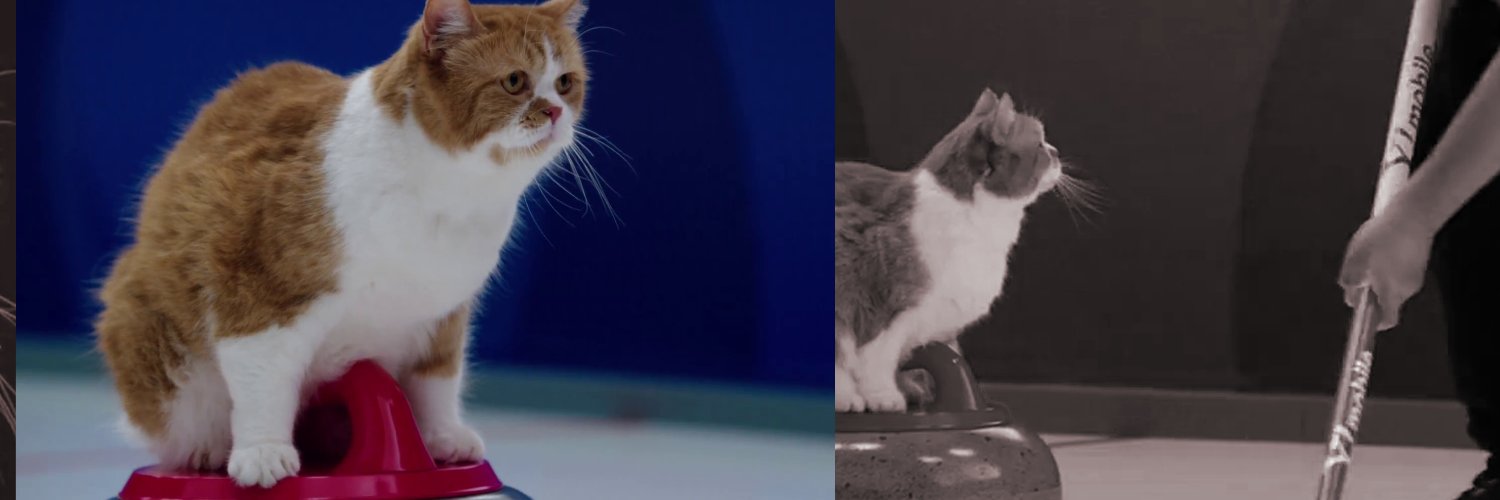 desk_neko's profile banner image