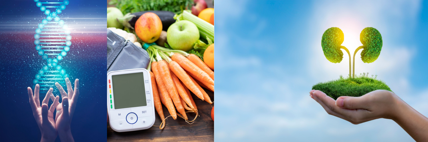 Sébastien Rubin banner