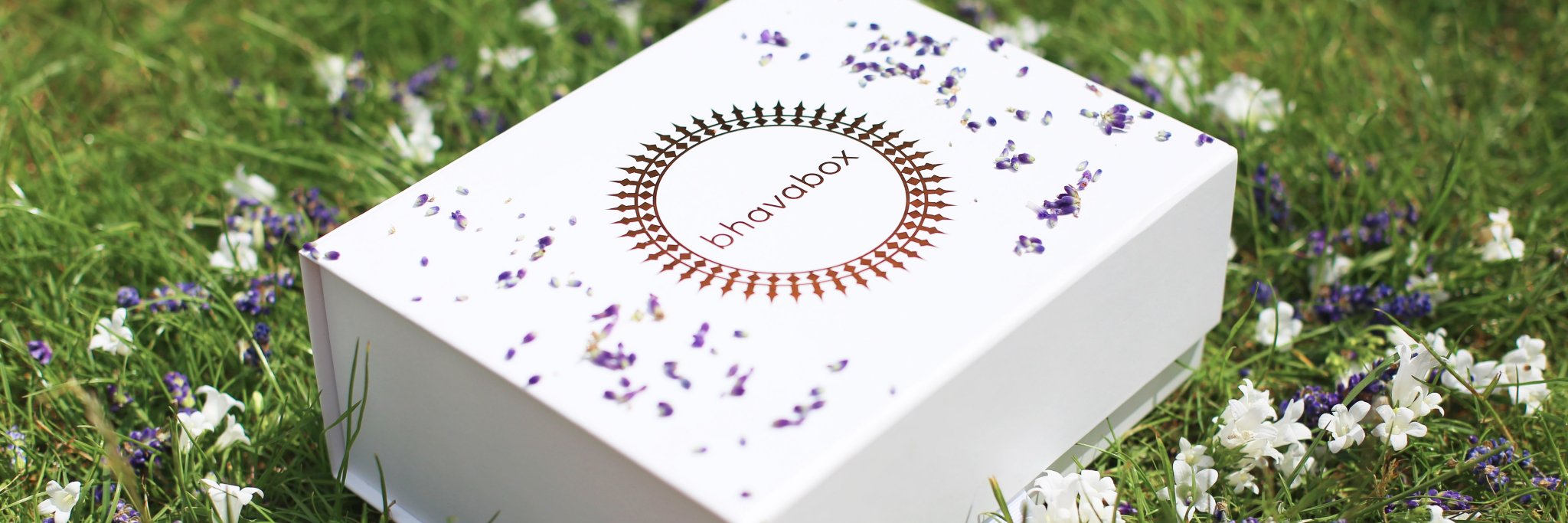 bhavabox's profile banner image