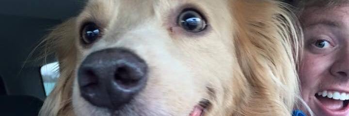 Adam Schlichte banner