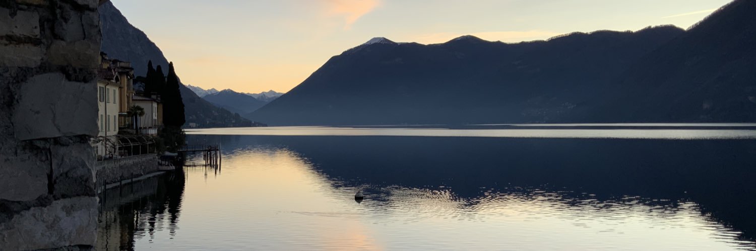 Roger Köppel banner