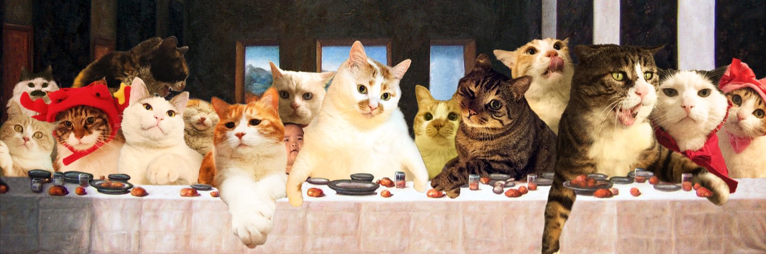 活着还没死 banner