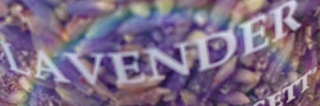 sou1bait's profile banner image