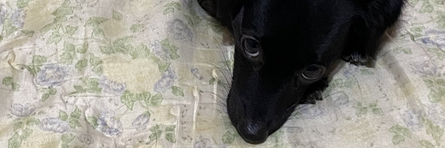 va_cold's profile banner image