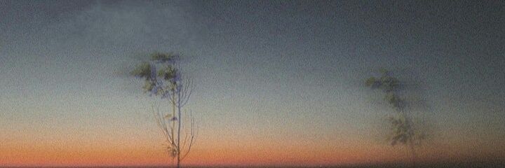 hulyaulasoglu's profile banner image